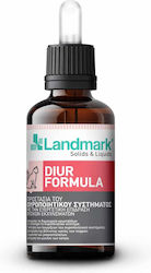 Diur Formula - Urinary tract protection, extracts and vitamins for cat Size: 50ml