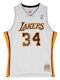 Los Angeles Lakers 2002 Jersey Style Basketball