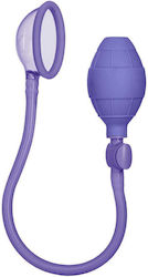 Calexotics Intimate Pump Mini Silicone Purple