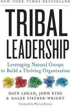 Tribal Leadership, Leveraging Natural Groups to Build a Thriving Organization