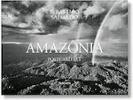 Amazonia Postcard Set