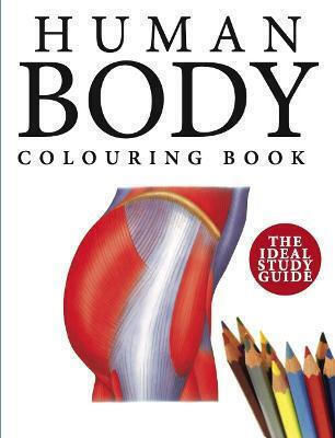 Anti-Stress Coloring Book Human Body