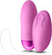 Ns Novelties Revel Winx Vibrator Bullet with Re...