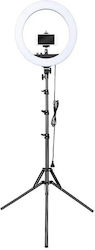 Visico F-00517 Lumini Inelare De Pardoseală Cu Trepied Visico F-00517 Lumini Inelare De Pardoseală Cu Trepied