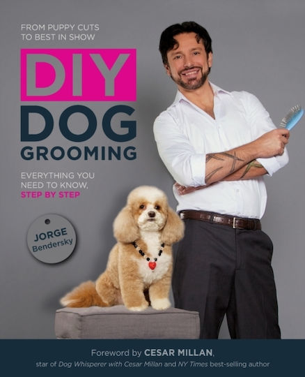 DIY Dog Grooming , Всичко, което трябва да знаете, стъпка по стъпка DIY Dog Grooming , Всичко, което трябва да знаете, стъпка по стъпка
