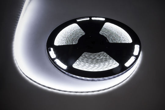 Rebel Wasserdicht LED-Streifen Fernseher 12V Kaltweiß Licht 25m Typ SMD5050