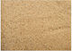 Natural Sand Aquarium Soils / Substrates 2.26kg 0.3-1.3 mm