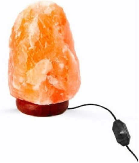 Total Gift Himalayan Lamp Total Gift Himalayan Lamp