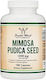 Double Wood Mimosa Pudica Seed 1000mg Special Food Supplement 180 Capsules