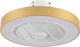Inlight Chilko Ceiling Light 50cm with Light Fi...