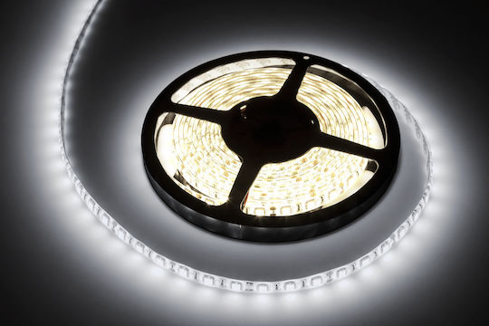 Rebel Водоустойчива LED Лента 12V Студено бяло Светлина 5м Тип SMD5050