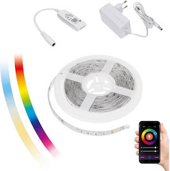 Spectrum LED Streifen Versorgung 220V RGBW Länge 5m Set mit Fernbedienung und Netzteil