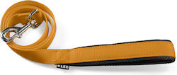 Glee Dog Leash/Lead Strap Comfort in Yellow col...