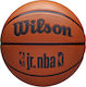 Wilson Jr DRV Fam Logo Ball Баскетболна топка В...