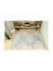 Ezzo Venice 6632ACD Covor Rectangular Gri Bej