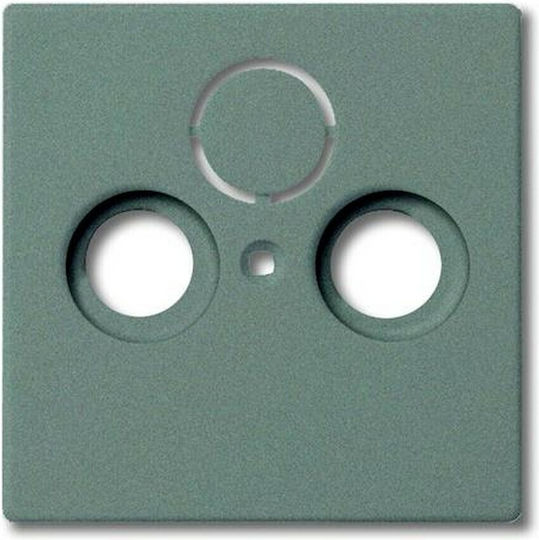 Abb TV-Antenna Socket Front in Gray Color 40913