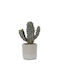 Cactus In Pot 24Cm 13x10x24cm Black Kaeming