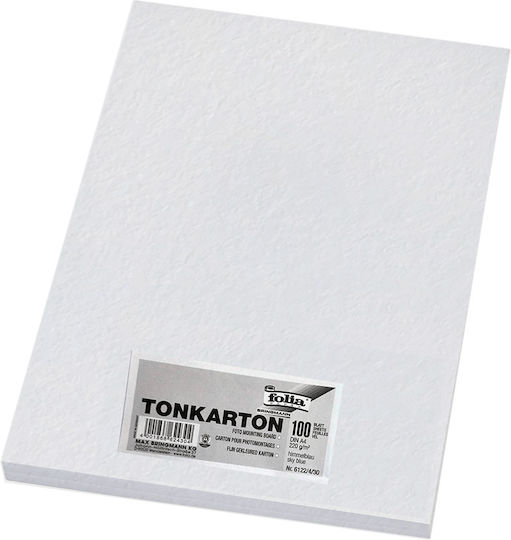 Folia Carton A4 100 Foi Alb