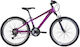 Carrera M6 2000 26" 2023 Μωβ Mountain Bike με 21 Ταχύτητες