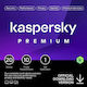 Kaspersky Premium for 20 Devices and 1 Year of Use (Electronic License)