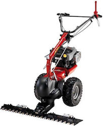 Eurosystems P70 Σκαπτικό Βενζίνης 8hp Eurosystems P70 Σκαπτικό Βενζίνης 8hp