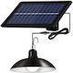 Polux Hanging Solar Light with Remote Control IP44