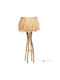 Freebox Floor Lamp H160xW50cm. with Socket for Bulb E27 Brown