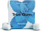 True Gum Chewing gum with Mint Flavour Vegan 21gr