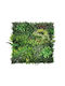 Newplan Panou artificial de frunziș Meadow 1x1m
