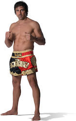 Raja Dragon 2 Shorts Kick/Thai-Boxen Mehrfarbig