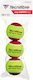 Tecnifibre Mein Neues Ball Tennisbälle 3Stücke