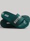 Superdry Men's Slides Green