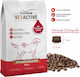 Platinum Pet Food & Care Platinum 15kg Dry Food for Adult Dogs with Meat