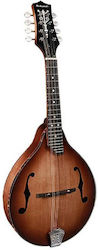 Richwood Ακουστικό Μαντολίνο RMA-90-NT με Πλακέ Σώμα Walnut Tinted