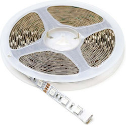 123led Ταινία LED 12V RGB 5m 123led Ταινία LED 12V RGB 5m
