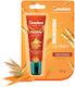Himalaya Wellness Nourishing Lip Balsam 10gr