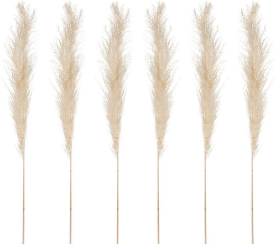 Пампас Изкуствен Декоративен Клон Pampas Grass Кафяв 6 Броя Atmosphera Пампас Изкуствен Декоративен Клон Pampas Grass Кафяв 6 Броя Atmosphera