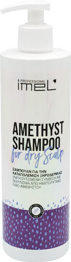 Imel Amethyst Shampoos against Dry Scalp for Dry Hair Hair 500ml