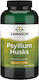 Swanson Psyllium Husks Συμπλήρωμα με Προβιοτικά & Πρεβιοτικά 610mg 300 κάψουλες