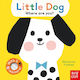 Little Dog, Where are you?