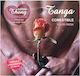 Hotflowers Ερωτικό Βρώσιμο Δώρο Wafer Thong And 2 Nipple Pads Strawberry Flavor