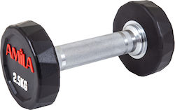 AMILA Polygon Series Βαράκι Δεκάγωνο Λαστιχένιο 1 x 2.5kg