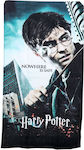 Nowhere is Safe Kinder-Strandtuch Mehrfarbig Harry Potter 140x70cm HP0308