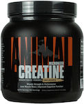 Animal Micronized Creatine 500gr