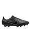 Nike Low Football Shoes FG with Cleats Black / Summit White / Light Photo Blue / Dark Smoke Grey