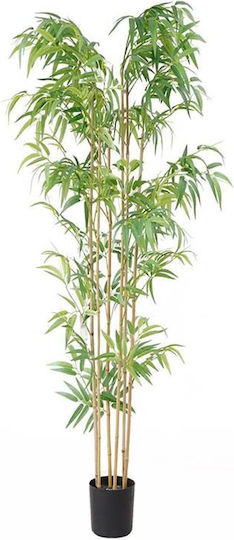 Newplan Outdoor Bamboo