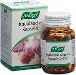 A.Vogel Knoblauch-Kapseln 120 κάψουλες