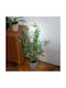 Μπαμπού σε Γλάστρα 90cm JK Home Decoration