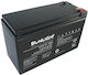 SunLight SPHR 12-48 Μπαταρία UPS με Χωρητικότητα 12Ah