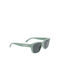 Celine Women's Sunglasses with Green Acetate Frame and Gray Lenses CL40249U 95A